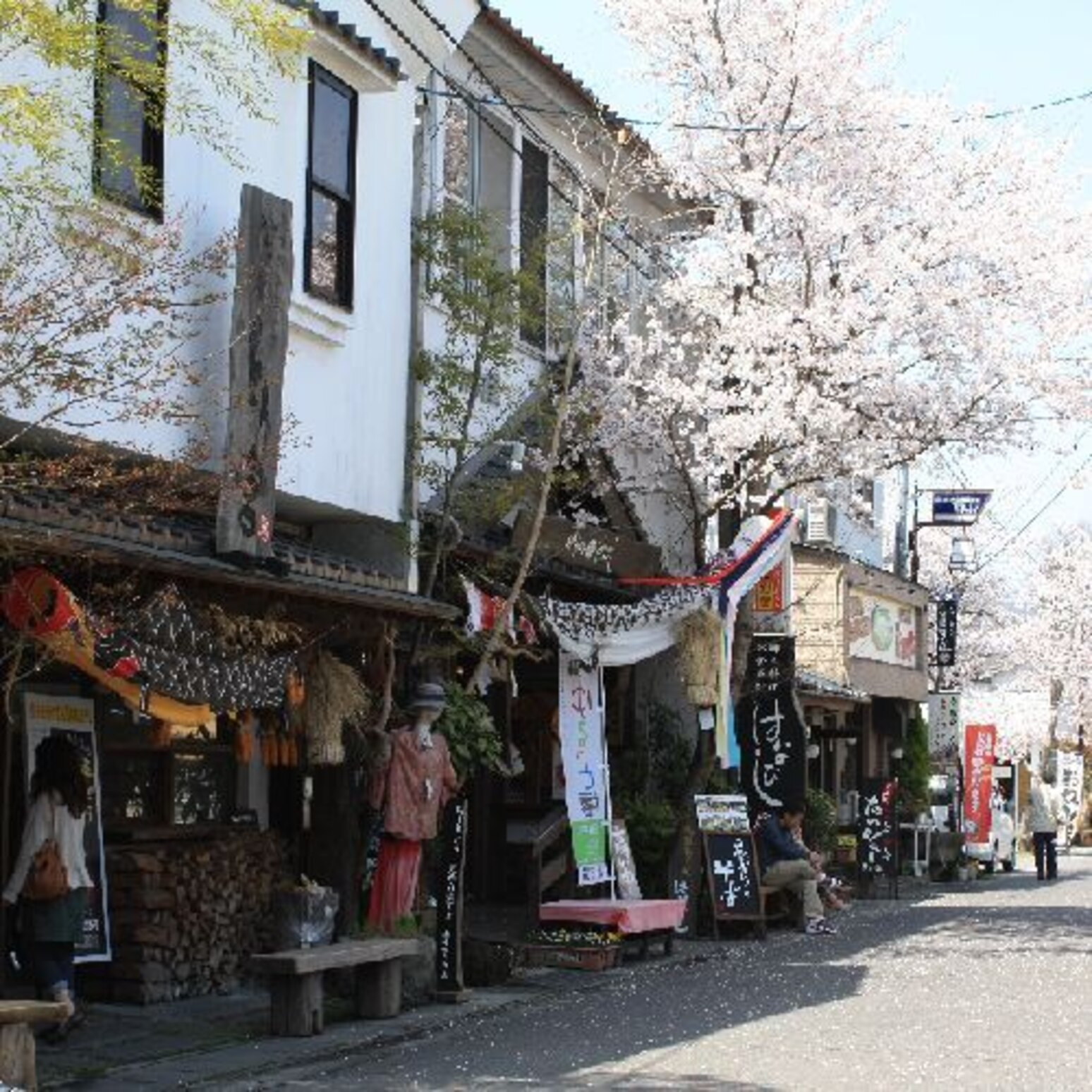 阿蘇神社（裏の通り）